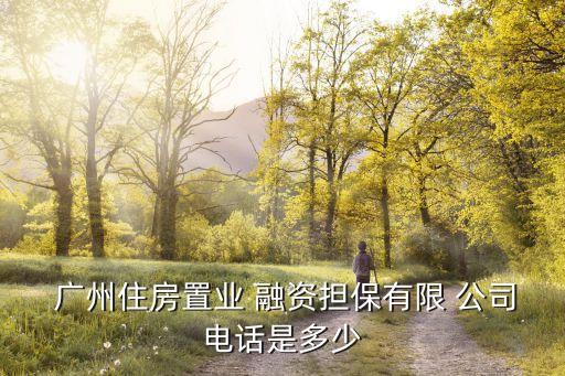 廣州融資公司,廣州最大的融資公司
