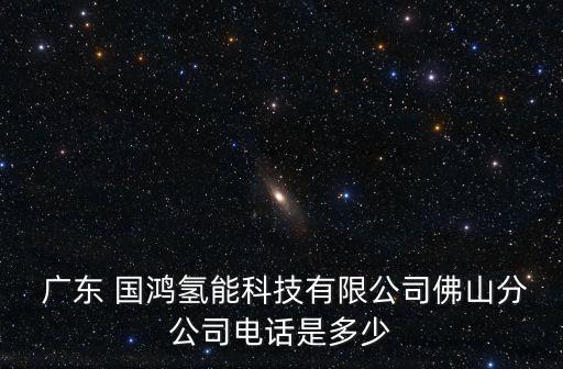  廣東 國(guó)鴻氫能科技有限公司佛山分公司電話是多少