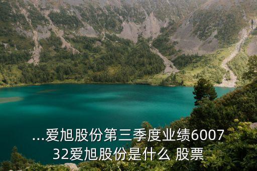 ...愛旭股份第三季度業(yè)績(jī)600732愛旭股份是什么 股票