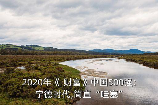 2020年《 財(cái)富》中國500強(qiáng):寧德時(shí)代,簡直“哇塞”