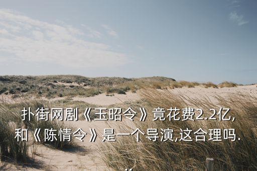 撲街網(wǎng)劇《玉昭令》竟花費2.2億,和《陳情令》是一個導演,這合理嗎...