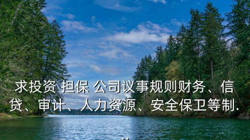 求投資 擔(dān)保 公司議事規(guī)則財(cái)務(wù)、信貸、審計(jì)、人力資源、安全保衛(wèi)等制...