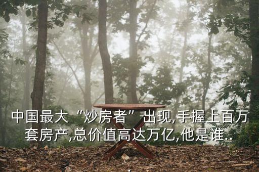 中國最大“炒房者”出現(xiàn),手握上百萬套房產(chǎn),總價(jià)值高達(dá)萬億,他是誰...