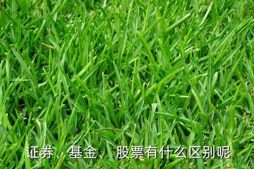  證券、基金、 股票有什么區(qū)別呢