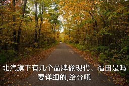 北汽旗下有幾個(gè)品牌像現(xiàn)代、福田是嗎要詳細(xì)的,給分哦