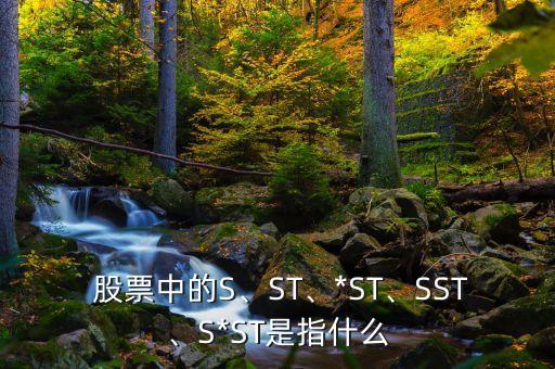  股票中的S、ST、*ST、SST、S*ST是指什么