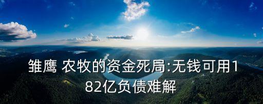  雛鷹 農(nóng)牧的資金死局:無錢可用182億負債難解