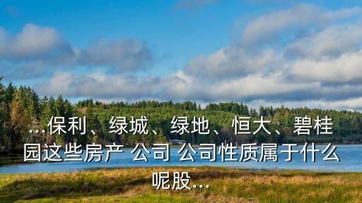 ...保利、綠城、綠地、恒大、碧桂園這些房產(chǎn) 公司 公司性質(zhì)屬于什么呢股...