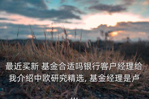 最近買(mǎi)新 基金合適嗎銀行客戶(hù)經(jīng)理給我介紹中歐研究精選, 基金經(jīng)理是盧...
