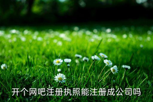 開個網(wǎng)吧注冊執(zhí)照能注冊成公司嗎