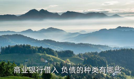  商業(yè)銀行借入 負(fù)債的種類有哪些