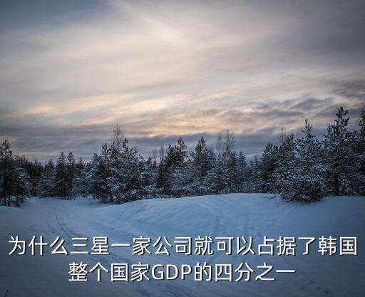 為什么三星一家公司就可以占據(jù)了韓國整個(gè)國家GDP的四分之一