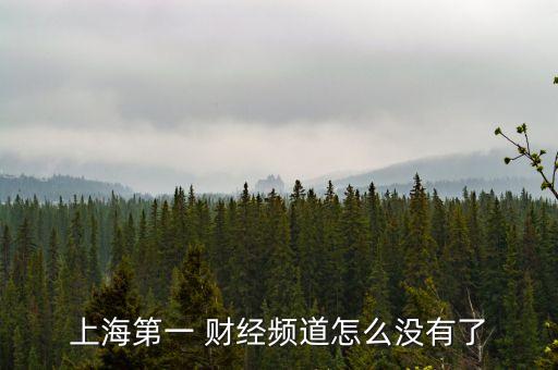 上海第一 財(cái)經(jīng)頻道怎么沒(méi)有了