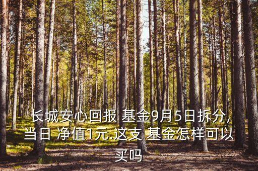  長(zhǎng)城安心回報(bào) 基金9月5日拆分,當(dāng)日 凈值1元.這支 基金怎樣可以買嗎