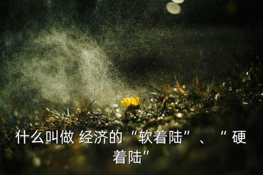 什么叫做 經(jīng)濟的“軟著陸”、“ 硬著陸”