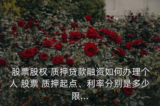  股票股權(quán) 質(zhì)押貸款融資如何辦理個(gè)人 股票 質(zhì)押起點(diǎn)、利率分別是多少限...