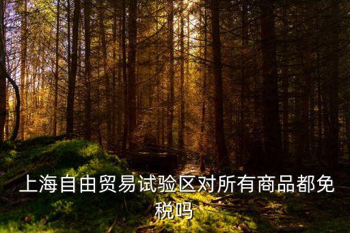 上海自貿(mào)區(qū)進口稅收政策,橫琴自貿(mào)區(qū)進口稅收政策
