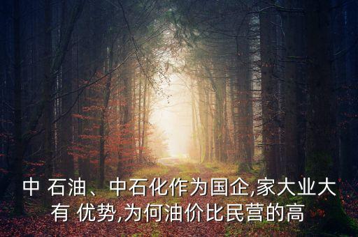 中 石油、中石化作為國企,家大業(yè)大有 優(yōu)勢,為何油價比民營的高