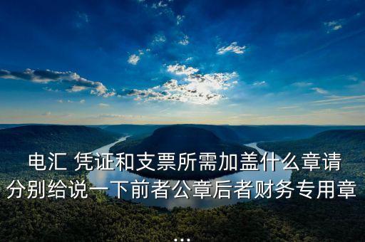  電匯 憑證和支票所需加蓋什么章請(qǐng)分別給說一下前者公章后者財(cái)務(wù)專用章...