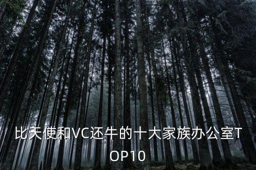 比天使和VC還牛的十大家族辦公室TOP10