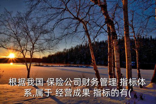 保險公司主要經(jīng)營指標(biāo)