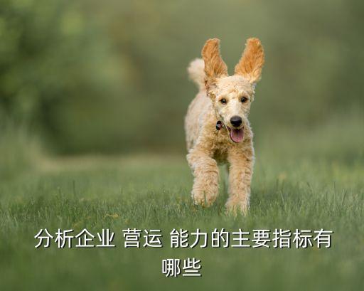  分析企業(yè) 營運 能力的主要指標(biāo)有哪些