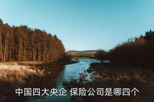 中國(guó)四大央企 保險(xiǎn)公司是哪四個(gè)
