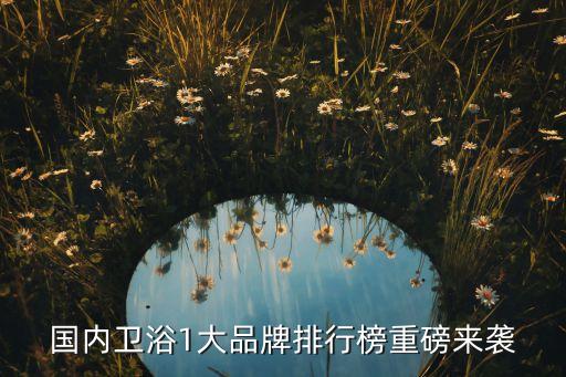 國內(nèi)衛(wèi)浴1大品牌排行榜重磅來襲
