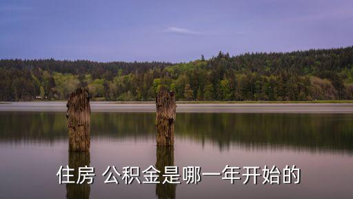  住房 公積金是哪一年開(kāi)始的