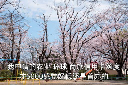 我申請(qǐng)的農(nóng)業(yè) 環(huán)球 商旅信用卡額度才6000感覺(jué)好低還是首辦的