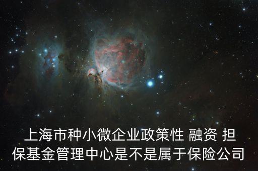  上海市種小微企業(yè)政策性 融資 擔(dān)保基金管理中心是不是屬于保險公司