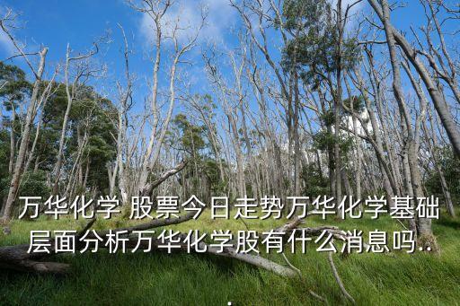 萬華化學(xué) 股票今日走勢(shì)萬華化學(xué)基礎(chǔ)層面分析萬華化學(xué)股有什么消息嗎...
