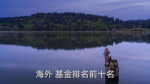 美國(guó)高盛基金管理投資有限公司,江蘇毅達(dá)股權(quán)投資基金管理有限公司