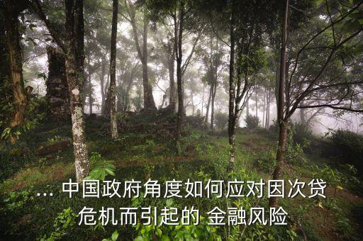 ... 中國(guó)政府角度如何應(yīng)對(duì)因次貸 危機(jī)而引起的 金融風(fēng)險(xiǎn)