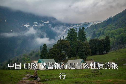 中國 郵政 儲(chǔ)蓄銀行是什么性質(zhì)的銀行