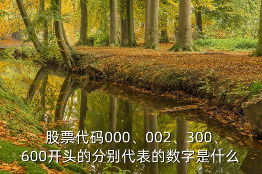  股票代碼000、002、300、600開頭的分別代表的數(shù)字是什么