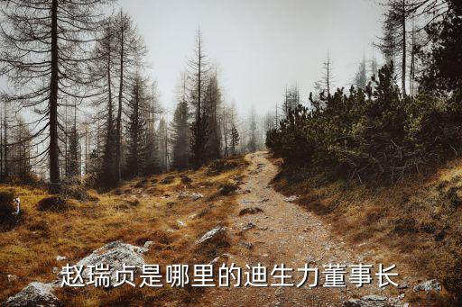 趙瑞貞是哪里的迪生力董事長(zhǎng)