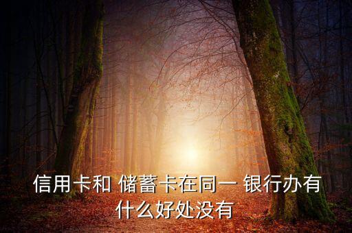  信用卡和 儲(chǔ)蓄卡在同一 銀行辦有什么好處沒(méi)有