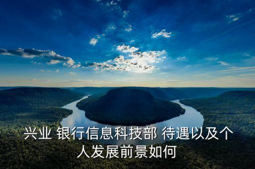  興業(yè) 銀行信息科技部 待遇以及個人發(fā)展前景如何