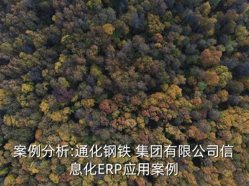 案例分析:通化鋼鐵 集團(tuán)有限公司信息化ERP應(yīng)用案例