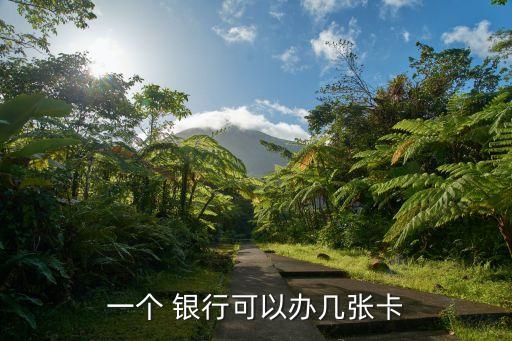 一個(gè) 銀行可以辦幾張卡