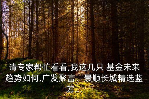 請(qǐng)專家?guī)兔纯?我這幾只 基金未來(lái)趨勢(shì)如何,廣發(fā)聚富、景順長(zhǎng)城精選藍(lán)籌...