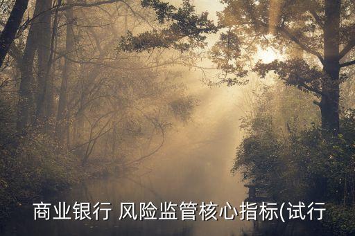  商業(yè)銀行 風(fēng)險監(jiān)管核心指標(試行