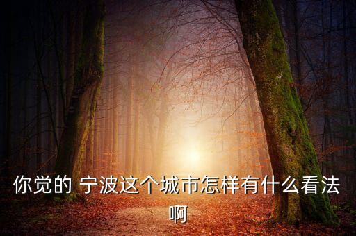 你覺(jué)的 寧波這個(gè)城市怎樣有什么看法啊
