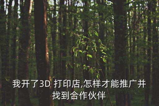 我開(kāi)了3D 打印店,怎樣才能推廣并找到合作伙伴