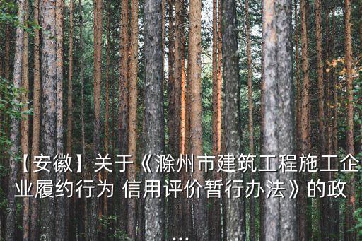 【安徽】關于《滁州市建筑工程施工企業(yè)履約行為 信用評價暫行辦法》的政...