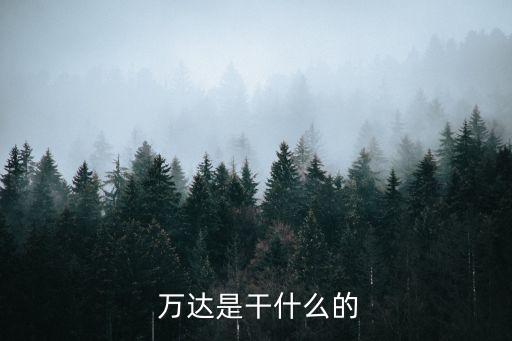  萬達是干什么的