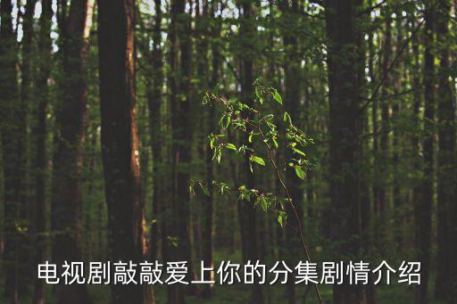 上海子望投資合伙企業(yè),上?？狄藰蛲顿Y咨詢合伙企業(yè)