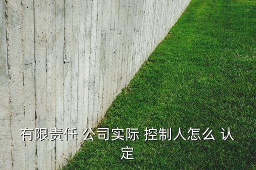 有限責任 公司實際 控制人怎么 認定