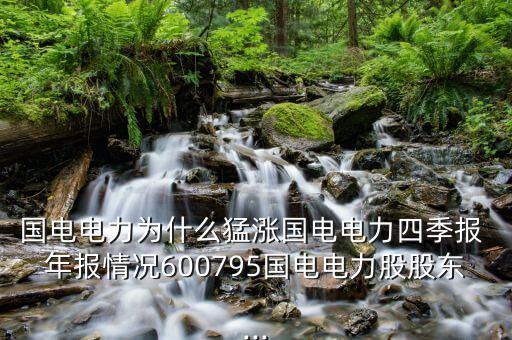 國電電力為什么猛漲國電電力四季報(bào) 年報(bào)情況600795國電電力股股東...